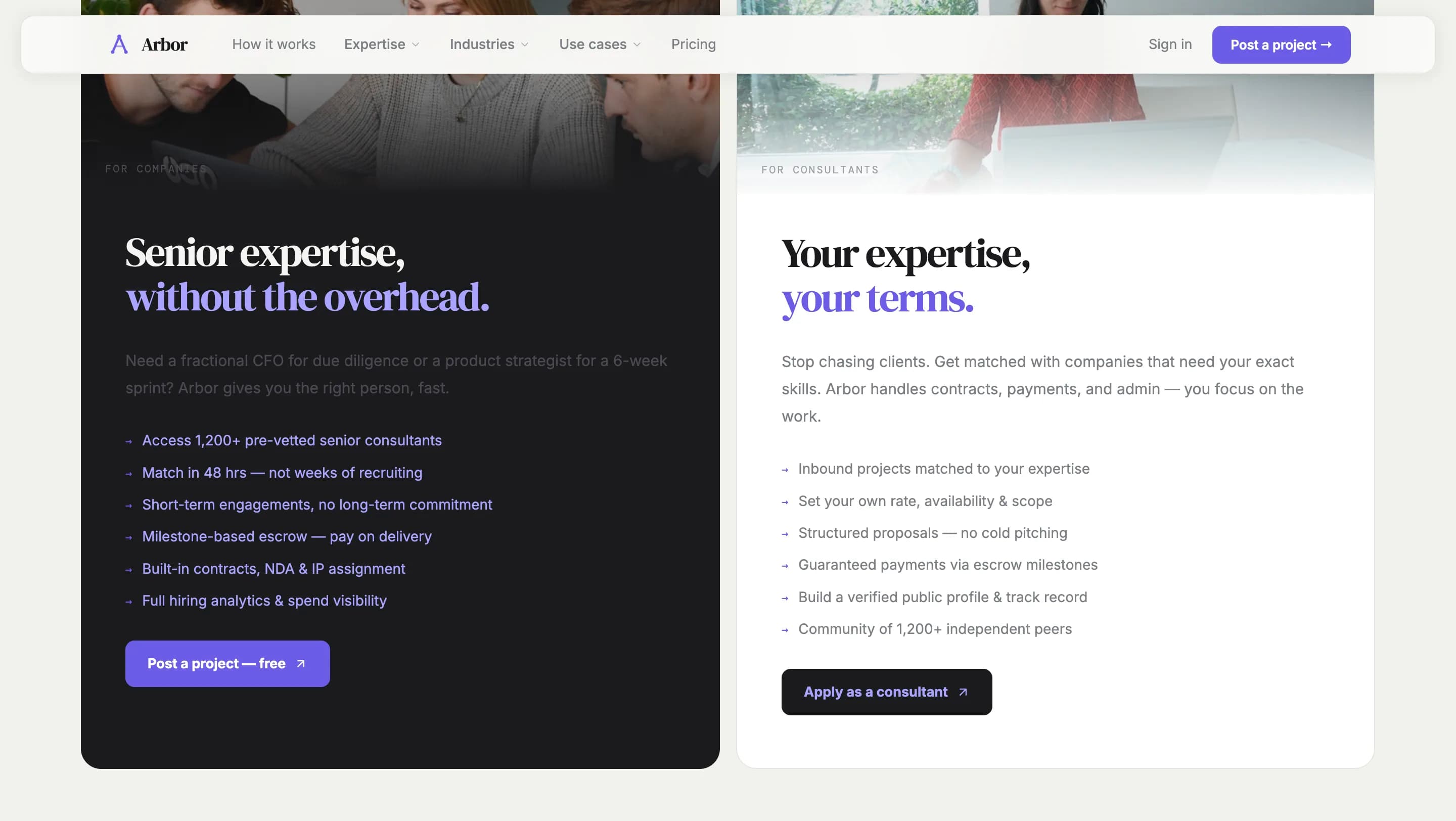 Arbor — экран 3